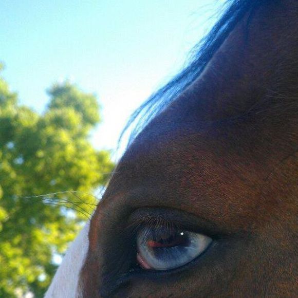 Meet your Posher, Crystal - Picture 1 of 1